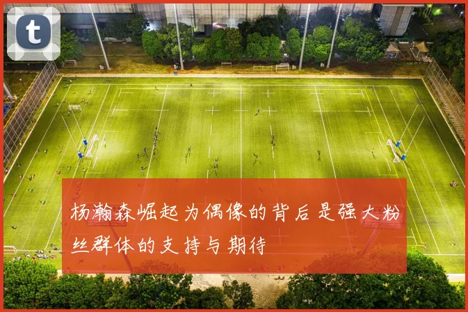 杨瀚森崛起为偶像的背后是强大粉丝群体的支持与期待