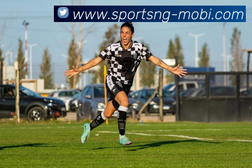 南宫体育平台生态图