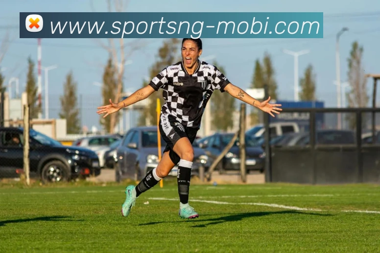 南宫体育APP 封面图